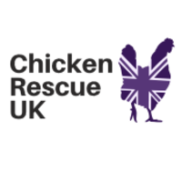 Chicken Rescue UK Thumbnail